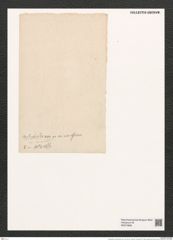 Thalassiothrix nitzschioides Grun. (de-Toni-Nr.: Genus 67, Species 2671) Zeichnungen Sammlung Grunow (NHMW-BOT-W0373869)